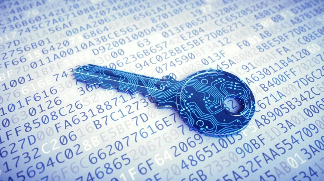 What Is a Crypto Private Key?